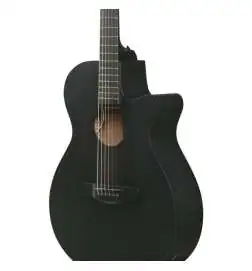 Ibanez AEG621-BOT Black Out