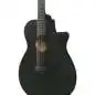 Ibanez AEG621-BOT Black Out Ibanez AEG621-BOT Black Out