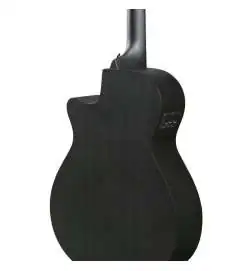 Ibanez AEG621-BOT Black Out