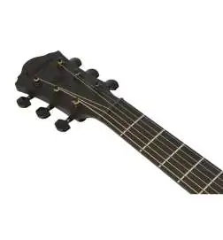 Ibanez AEG621-BOT Black Out