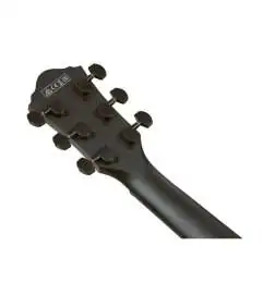 Ibanez AEG621-BOT Black Out
