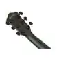 Ibanez AEG621-BOT Black Out Ibanez AEG621-BOT Black Out