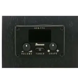 Ibanez AEG621-BOT Black Out