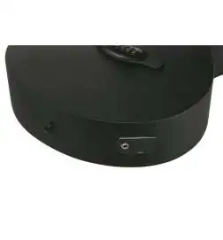 Ibanez AEG621-BOT Black Out