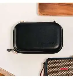 Positive Grid Spark GO Case