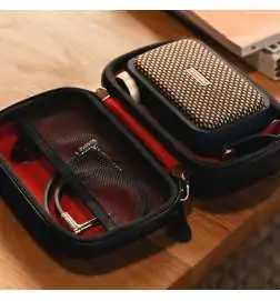Positive Grid Spark GO Case