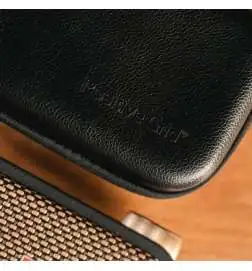 Positive Grid Spark GO Case