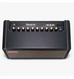 Positive Grid Spark 40 Black