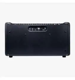 Positive Grid Spark 40 Black