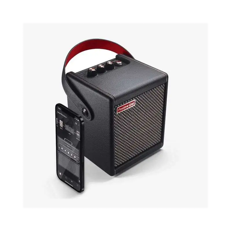 Positive Grid Spark MINI Black