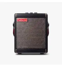 Positive Grid Spark MINI Black