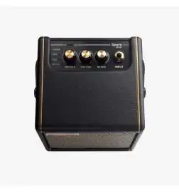 Positive Grid Spark MINI Black