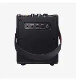 Positive Grid Spark MINI Black