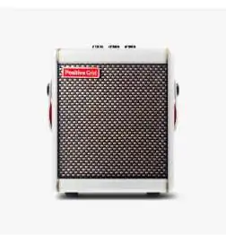 Positive Grid Spark MINI Pearl