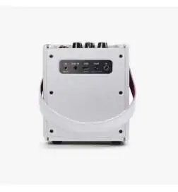 Positive Grid Spark MINI Pearl