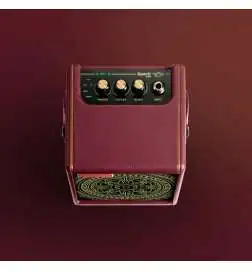 Positive Grid Spark MINI Vai