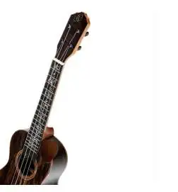 Ortega RUET-ZC