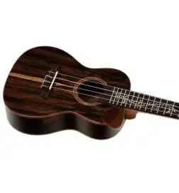 Ortega RUET-ZC