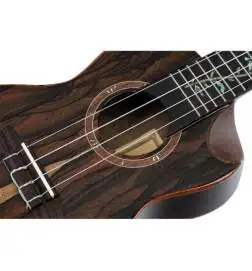 Ortega RUET-ZC