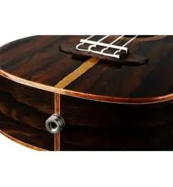 Ortega RUET-ZC