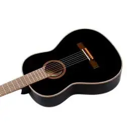 Ortega R221BK