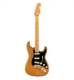 Fender American Professional II Stratocaster MN Roasted Pine