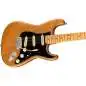 Fender American Professional II Stratocaster MN Roasted Pine Fender American Professional II Stratocaster MN Roasted Pine
