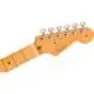 Fender American Professional II Strat MN (Roasted Pine) Fender American Professional II Strat MN (Roasted Pine)