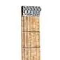 Teuffel Birdfish Apricot 150