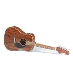 Fender Malibu Special Natural