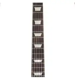Gibson Les Paul Standard 50s Plain Ebony Top