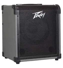 Peavey MAX 100