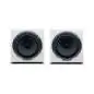 Avantone MixCubes Active White Paar