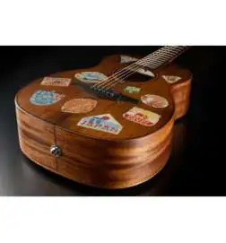 LAG Guitars Escapade-GTE