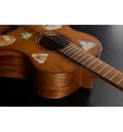 LAG Guitars Escapade-GTE