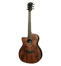 LAG Guitars Green Guitars Sauvage-L-ACE