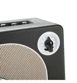 Mooer Audio Hornet Black