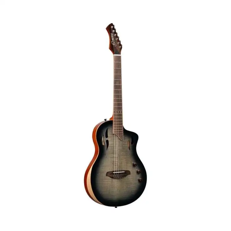 Ortega RTPG-LS1 Tour Player