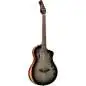 Ortega RTPG-LS1 Tour Player