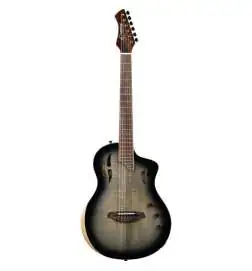 Ortega RTPG-LS1 Tour Player