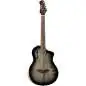 Ortega RTPG-LS1 Tour Player