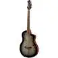 Ortega RTPG-LS1 Tour Player
