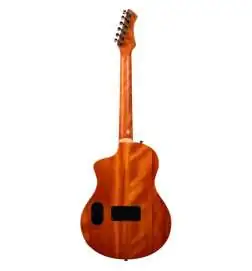 Ortega RTPG-LS1 Tour Player