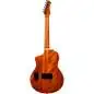 Ortega RTPG-LS1 Tour Player
