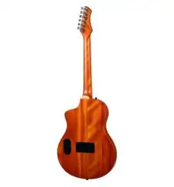 Ortega RTPG-LS1 Tour Player