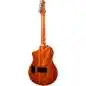 Ortega RTPG-LS1 Tour Player