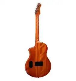 Ortega RTPG-LS1 Tour Player