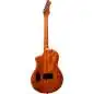 Ortega RTPG-LS1 Tour Player