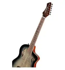 Ortega RTPG-LS1 Tour Player