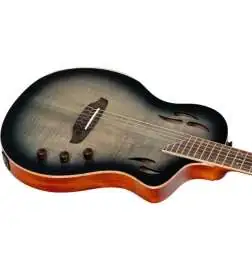Ortega RTPG-LS1 Tour Player
